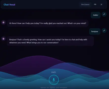 Voice-Powered AI Chat - Multilingual local LLM with real-time speech